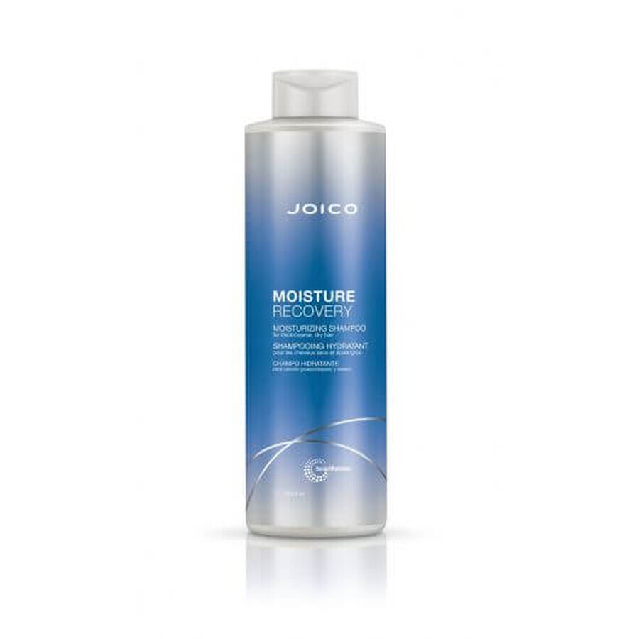 Shampoo per il recupero dell'umidità Joico 1000 ml