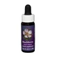Natur Mure (Rubus Ursinus) esențe californiene 7,4ml