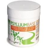 Psyllium Basispoeder 120g