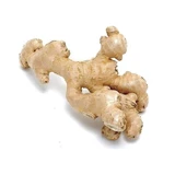Whole Ginger Rhizome 100 Gr