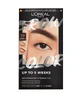 L OREAL BROW TINT 3.0 DARK BRUNET