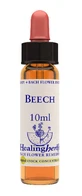 BEECH ESS 10ML INGL HERBS