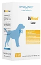DIMOOD LARGE 20STICK 12G