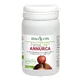 NEWCAP ANNURCA 45 CÁPSULAS HIERBA VITA