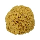 Burete arhipelag mediteranean natural 12cm Alcea 1 buc