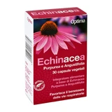 Echinacea 30Gélules végétales