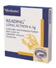 READING Lange Act.42g Hond