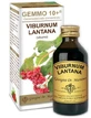VIBURNUM LICHID NEALCOOLIC 100ML GIORGINI