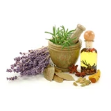 T-cut hybrid flowering top lavender