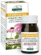 Echinacea Extracto Titulado 60 Comprimidos Giorgini