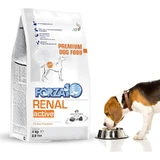 Forza10 Renal active vet - complete food for dogs with kidney problems and intolerances 4 kg