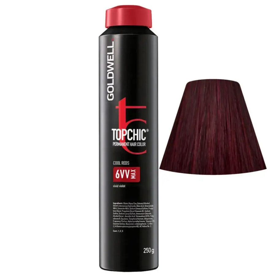 Vopsea permanenta Goldwell Top Chic Can 6VV Max 250ml