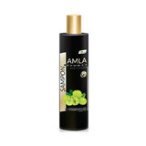 Ayurmed Amla Shampooing Deluxe 250 ml