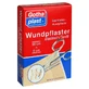 Gothaplast wondverbandelastiek 6 cm x 0,5 m gesc 1 st