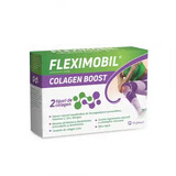 Fleximobil Collagen Boost, 10 sachets, Fiterman