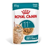 Royal Canin Ageing 11 Plus Jelly - Natvoer voor seniorkatten van 11 jaar en ouder, 85 g