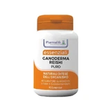 Pure Ganoderma reishi, 90 tablets - immune system supplement