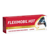 Fleximobil Heißes emulgiertes Gel, 50 g, Fiterman Pharma