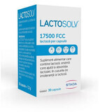 Lactosolv, 30 capsules, Sciotec