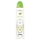 Dove Bridgerton love & meadows – deodorant antiperspirant cu bergamotă și flori sălbatice, 150 ml