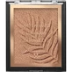 Wet n Wild Color Icon Bronzer - Polvos bronceadores n.º E740A «Ticket to Brazil»