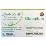 HP Lavender 30 Capsules - Mood-Boosting Supplement