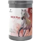 Equality H.c.k.plus – supliment alimentar pentru cai, mânji și ponei, 900 g