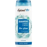 Splend or Pure Action - Shampoo for Oily Hair with Cucumber and Clay, 300 ml
