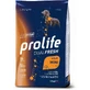 Prolife Dualfresh Adult Mini cu curcan, porc și orez – hrană completă pentru câini adulți de talie mică, 2 kg