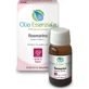 Magenta Herbal Shop Rozemarijn etherische olie 10 ml