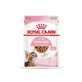 Royal canin Kitten sterilised - alimento completo per gatti sterilizzati da 6 a 12 mesi 85 gr