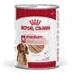 Royal Canin Medium Adult Pate – hrană completă pentru câini adulți de talie medie, 410 g