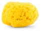 Chicco Burete natural din spumă marină, mărime medie, de la 0 luni în sus