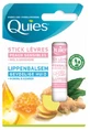 Quies lippenverzorgingsstick voor de gevoelige huid met honing en gember, 4,5 g