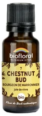 Biofloral Granule 7 Chestnut Bud – Muguri de castan organic 19,5 g