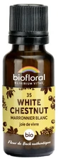 Biofloral Flori de Bach 35 White Chestnut Bio 19,5 g