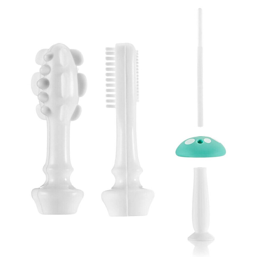 Ensemble de brosses à dents d'apprentissage en silicone BabyCare, 0 mois+, Reer