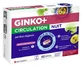 Ginkor Ginko + Circulation Nuit 60 Comprimés