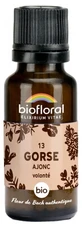 Biofloral Granule 13 Gorse – Ajonc Bio 19,5 g