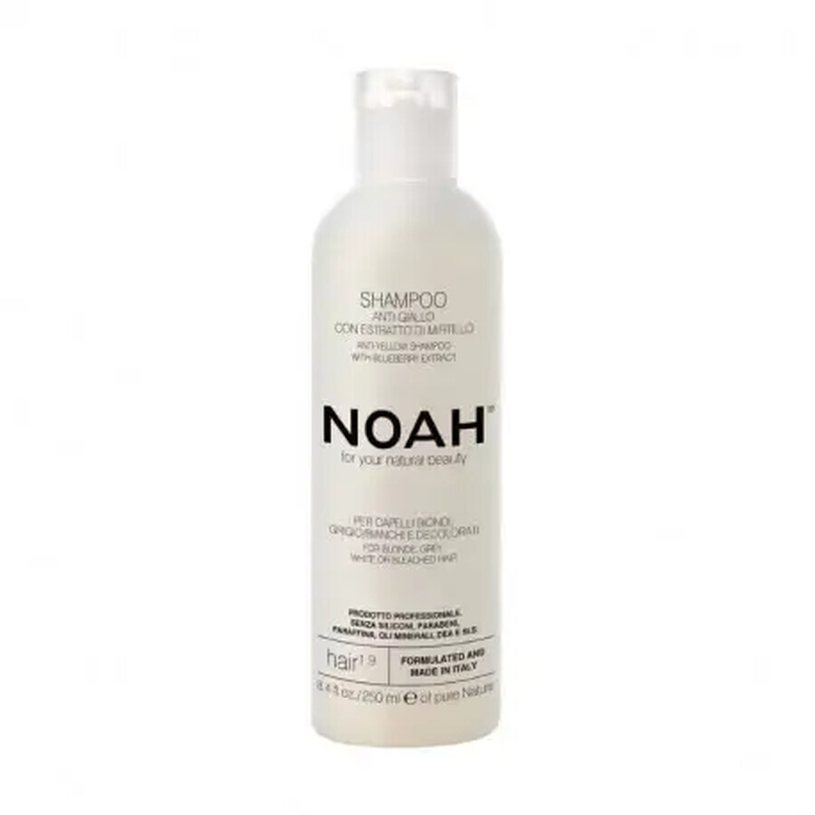 Shampoo naturale antigiallo con estratto di mirtillo, 1,9 x 250 ml, Noah