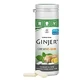 Ginger Ginjer Chewing Gum, Mint, 30 g of chewing gum