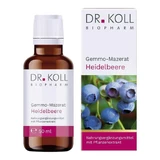 Dr. Koll Blueberry Gemmo-Macerate (Vaccinium Myrtillus) Drops, 50 ml
