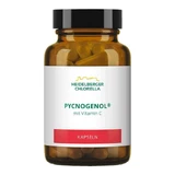 Pycnogenol Capsules, 14 g Capsules