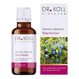 Dr. Koll, macérat de bourgeons de Juniperus communis, 50 ml, en gouttes