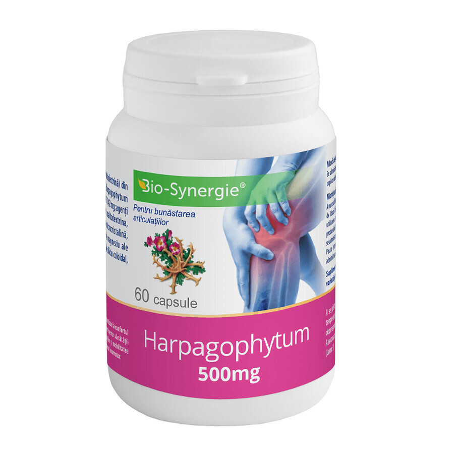 Harpagophytum, 500 mg, 60 Kapseln, Bio-Synergie