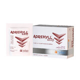 Pack promotionnel 1+1 Adrehyll adultes, 2 x 10 sachets, Hyllan