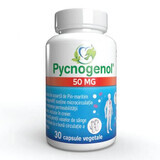 Pycnogenol, 50 mg, 30 pflanzliche Kapseln, Justin Pharma