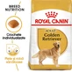 ROYAL CANIN Golden Retriever Adult, hrană uscată câini, 3kg