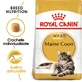 ROYAL CANIN Maine Coon Adult, hrană uscată pisici, 4kg