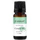 Huile essentielle de camphre blanc, 10 ml, Zanna